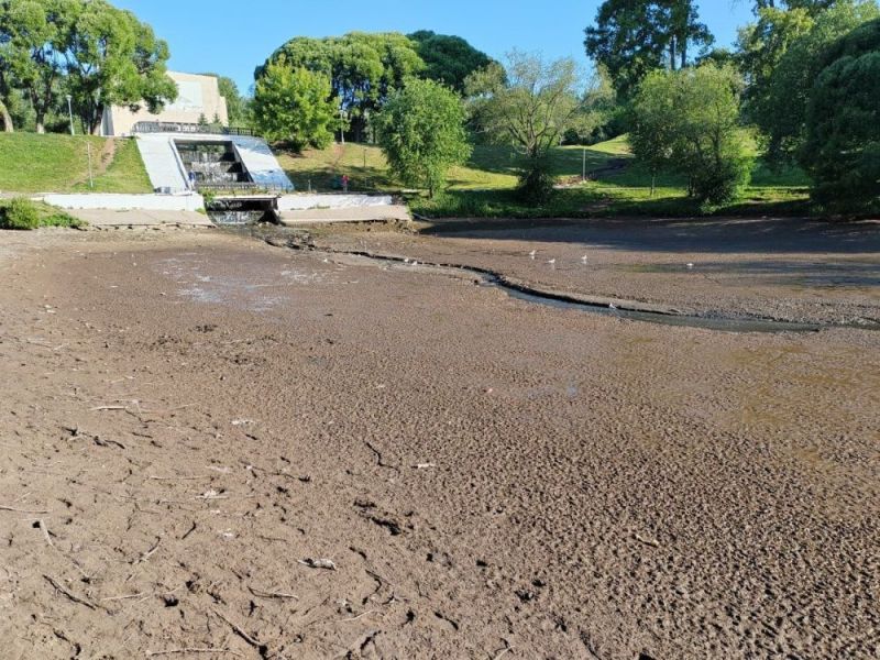 Рыбу из пруда у Диорамы переселят в другие водоемы города