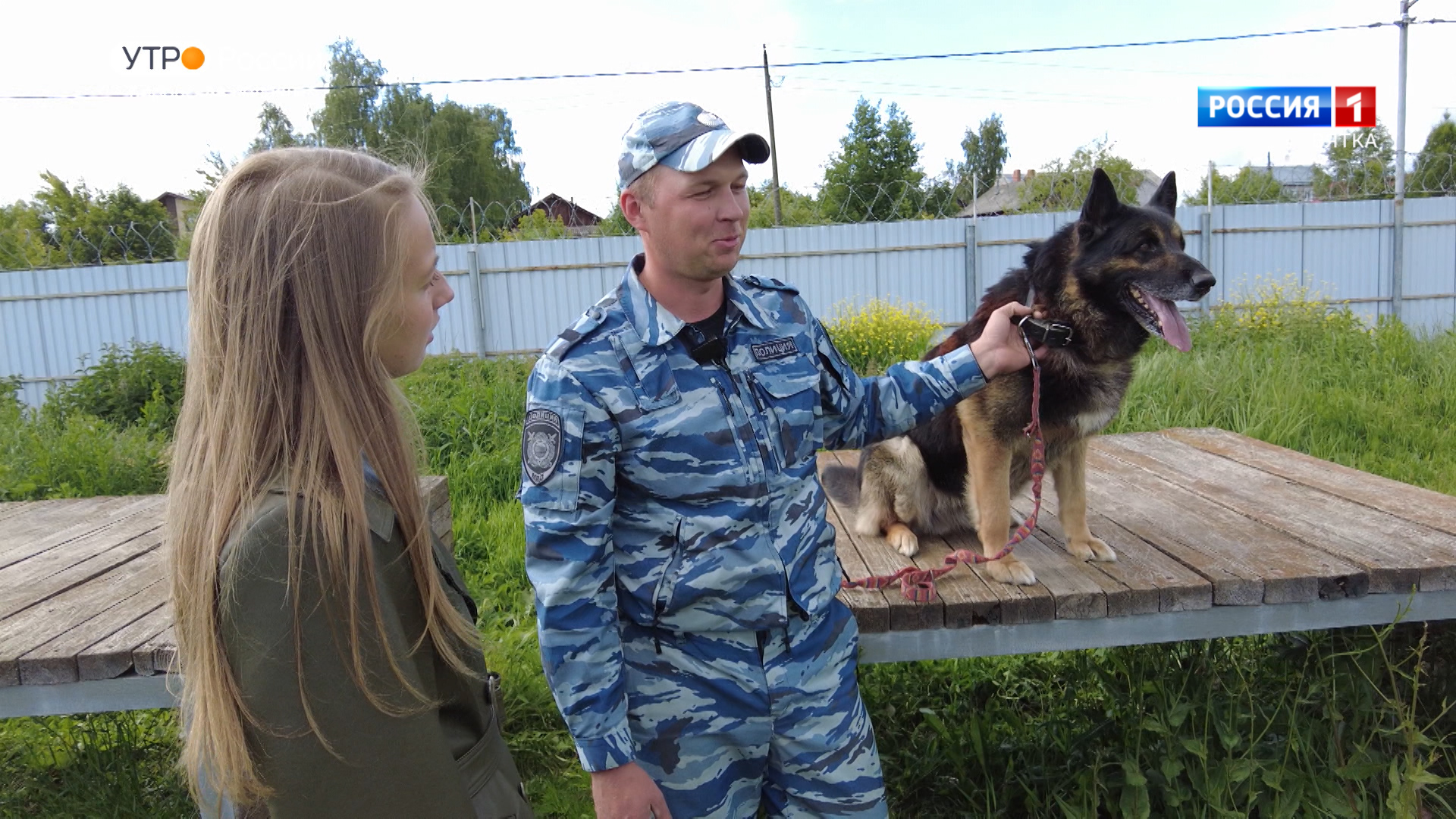 Хвост за хвост. Кинологи (04.07.2023)
