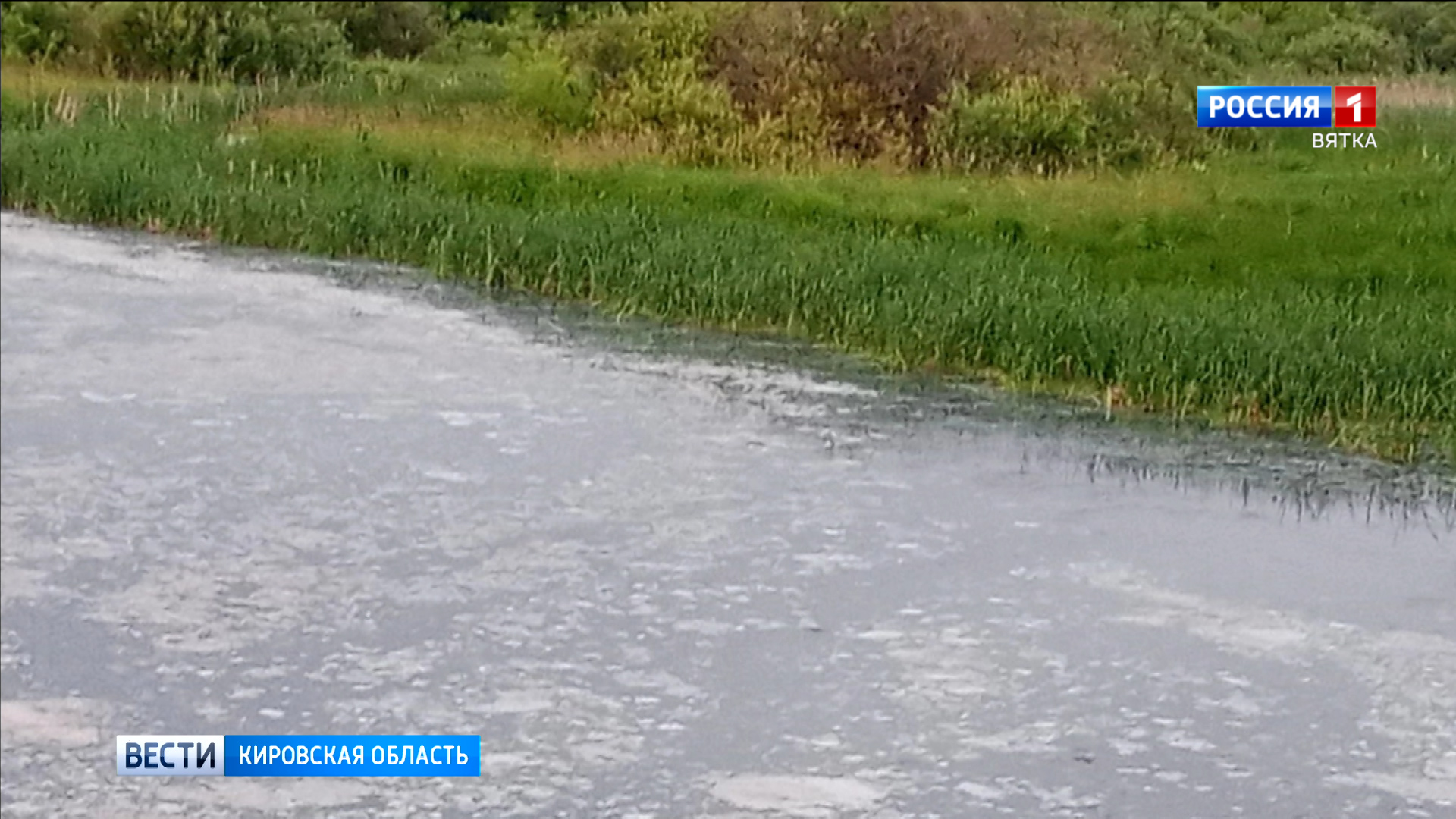 В минэкологии подтвердили факт загрязнения реки Быстрицы