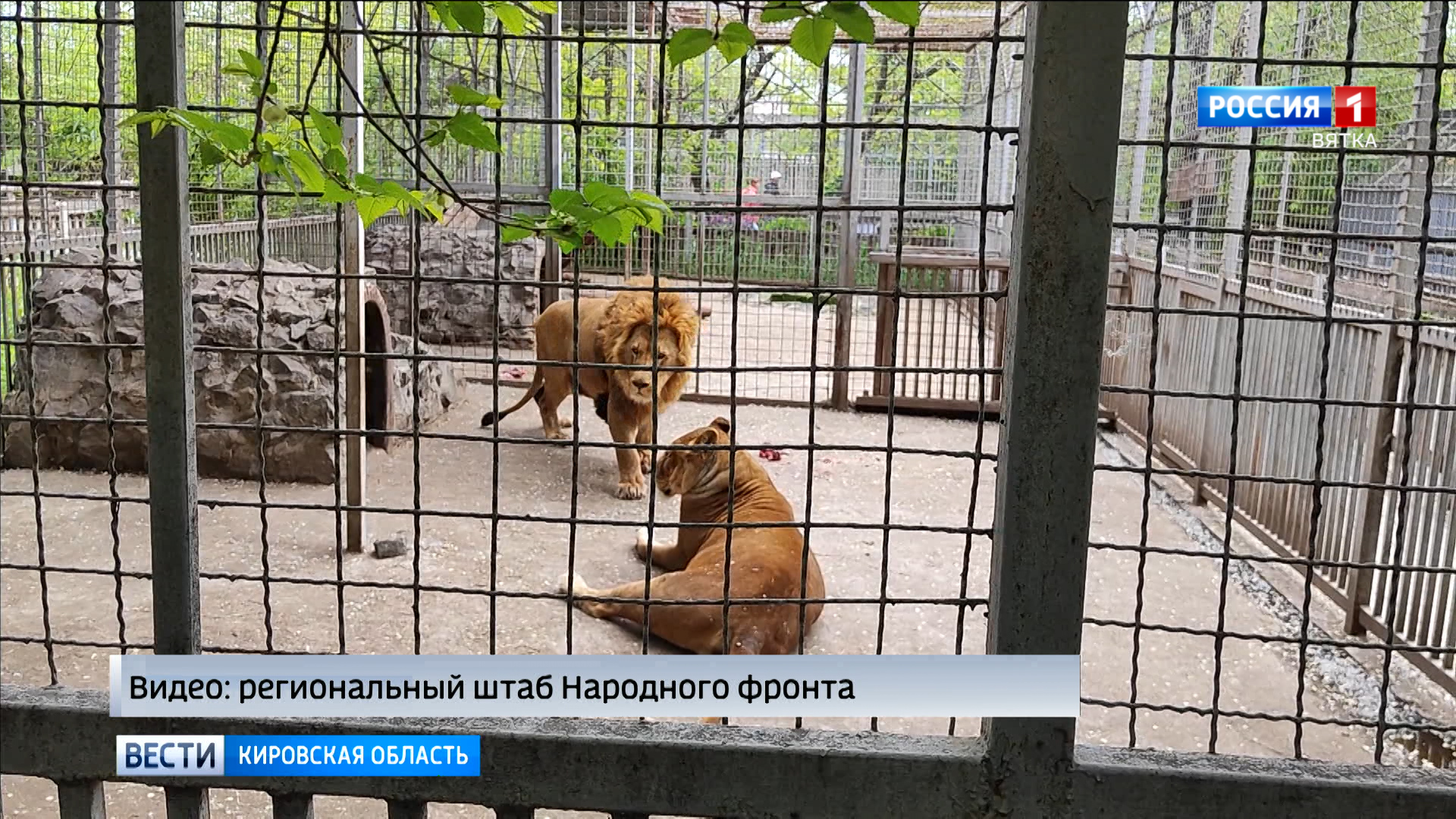 Мариупольский зоопарк получил помощь от жителей Кирова