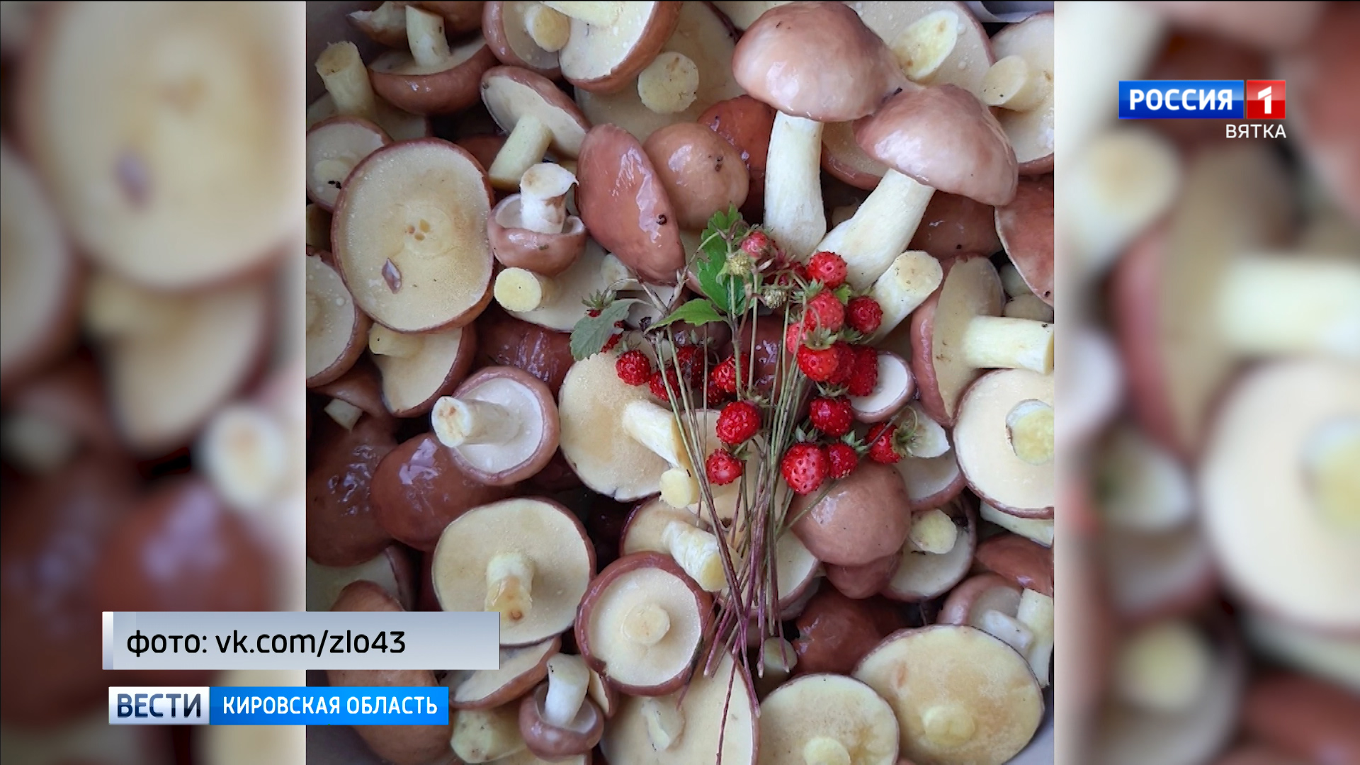 Жители Кировской области делятся видео в соцсетях