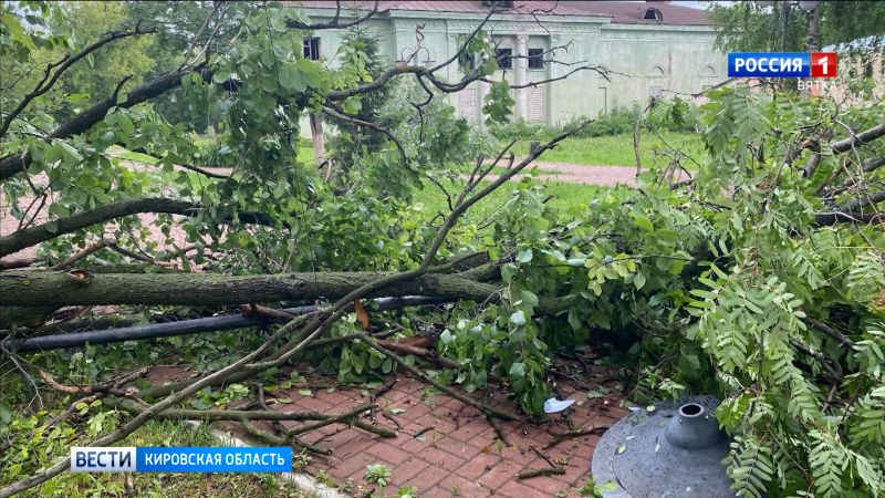 В Кировской области устраняют последствия урагана