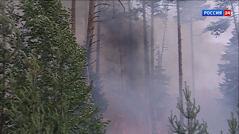 В Кировской области зарегистрирован первый за сезон торфяной пожар