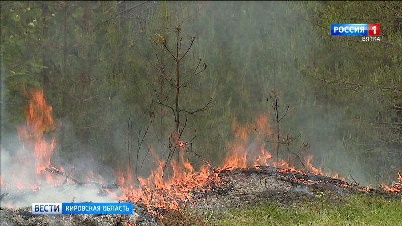 В Кировской области из-за высокой пожарной опасности объявлено метеопредупреждение