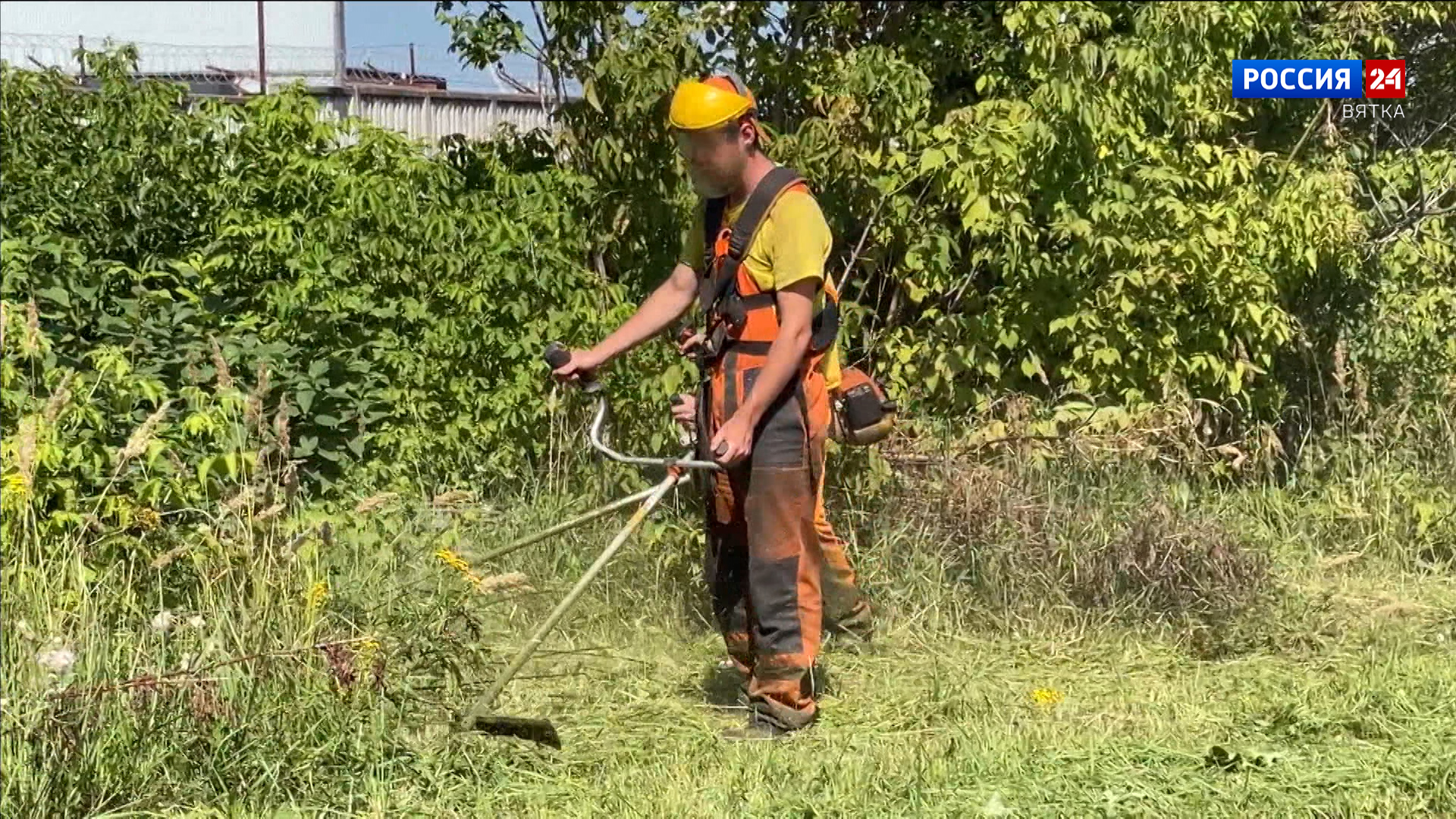За кошение травы в Кирове отвечает пять подрядчиков