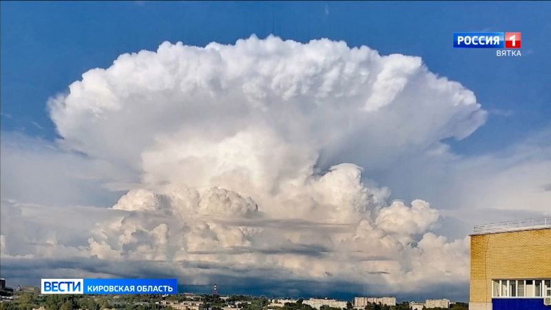 Обзор социальных сетей Кировской области