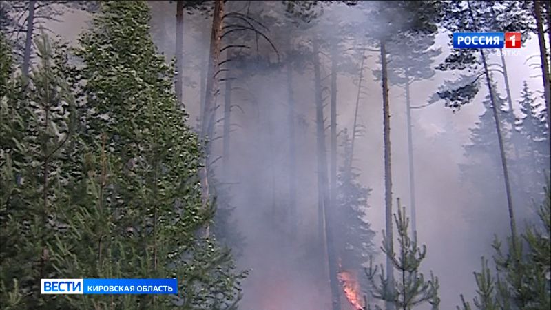 В Кировской области объявлена высокая пожарная опасность