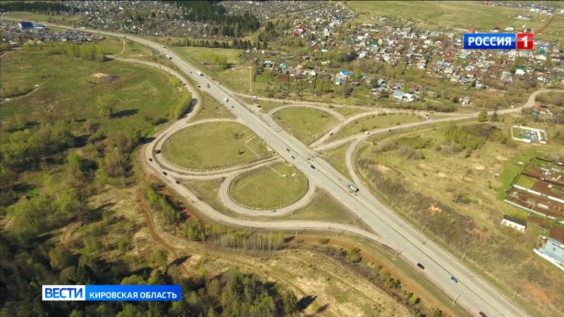 В Кировской области названы районы, где  на дороги чаще всего выходят лоси