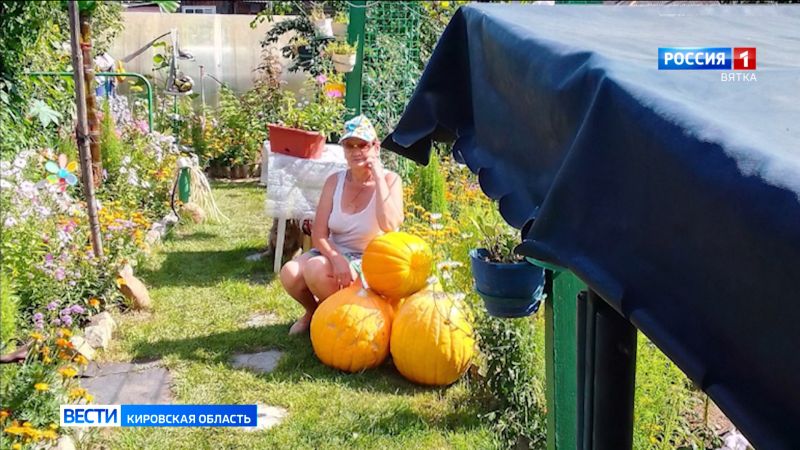 Обзор новостей из районов Кировской области