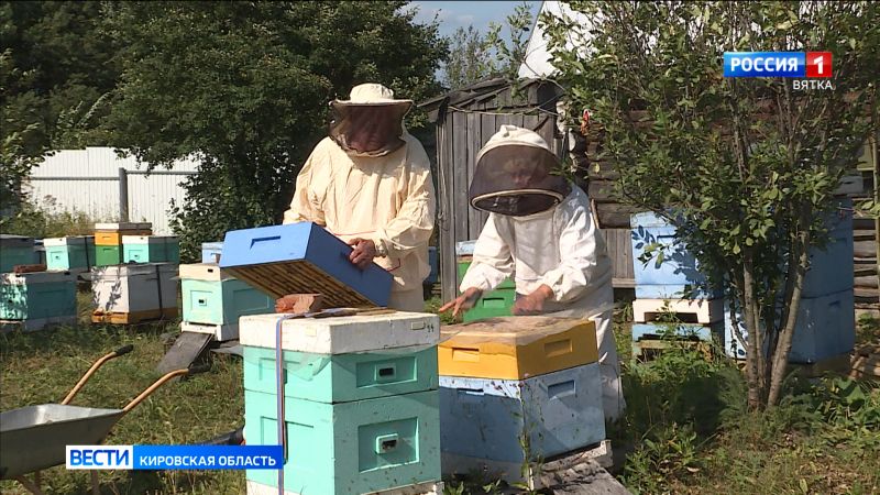 В Кировской области зафиксированы жалобы по фактам массовой гибели пчел