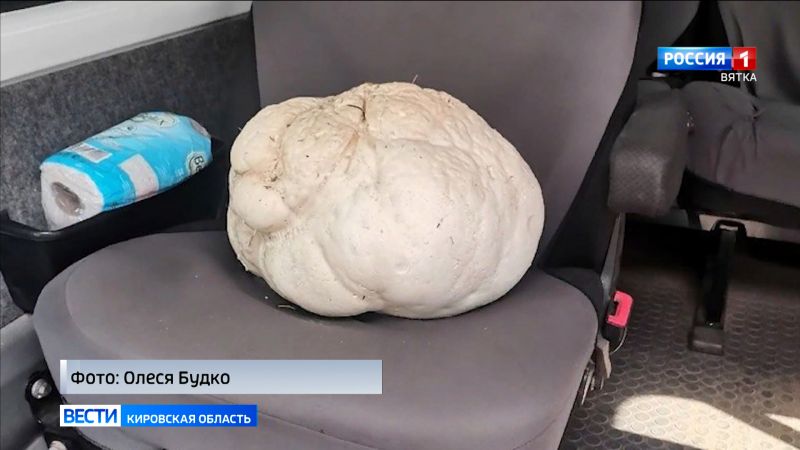 В Оричевском районе агроном нашла огромный гриб