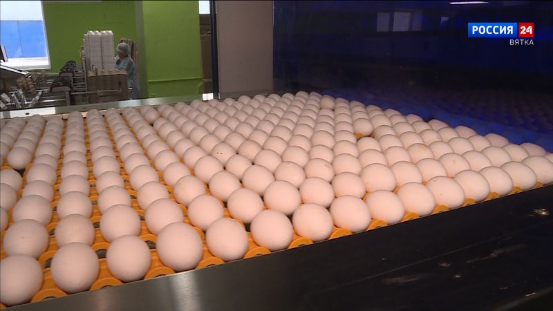 В Кировской области предотвращено распространение продукции из Башкирии, где карантин по гриппу птиц