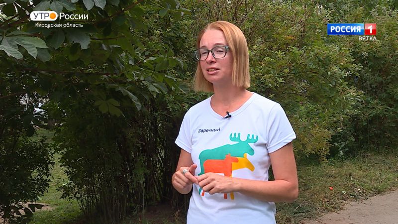 Не дождались осени: почему тополи в Кирове пожелтели раньше срока?