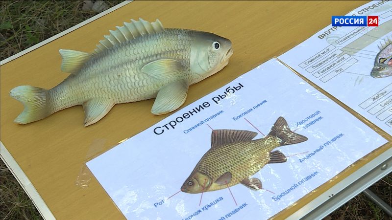 В «Нургуше» прошел Детский день рыбака