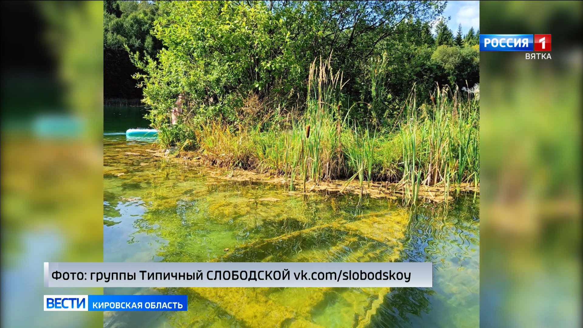 Обзор социальных сетей Кировской области