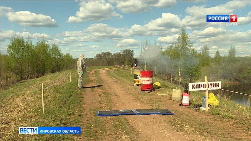 В Кировской области сняли карантин по птичьему гриппу