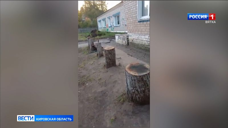 Жители деревни Краснополье Сунского района недовольны вырубкой декоративных яблонь