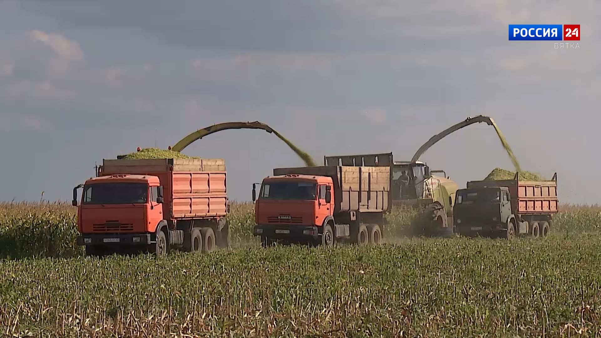 Губерния. День работника сельского хозяйства (07.10.2023)
