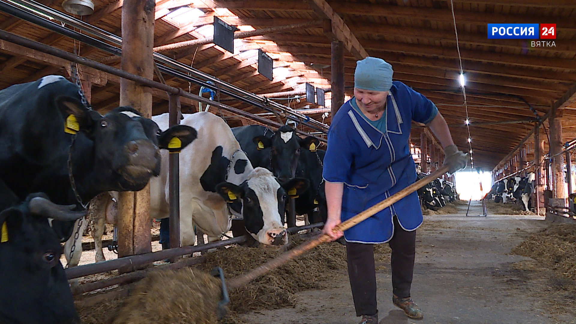 Губерния. СПК СХА «Им. Ленина» (18.10.2023)