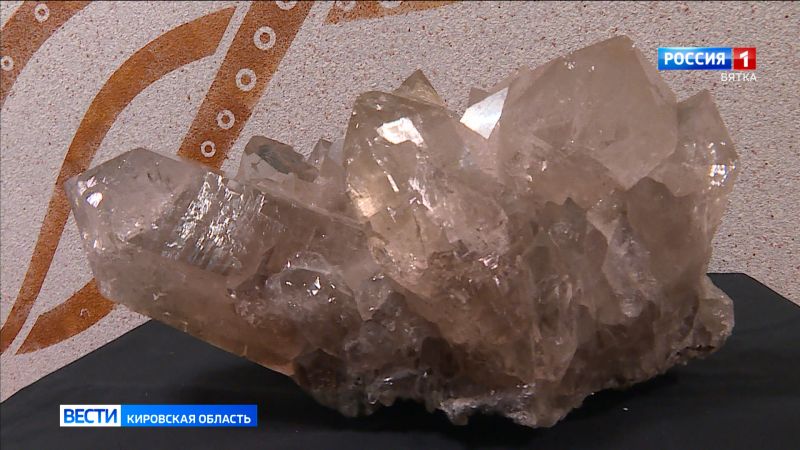 В Вятском палеонтологическом музее проходит выставка «Многоликий кварц»