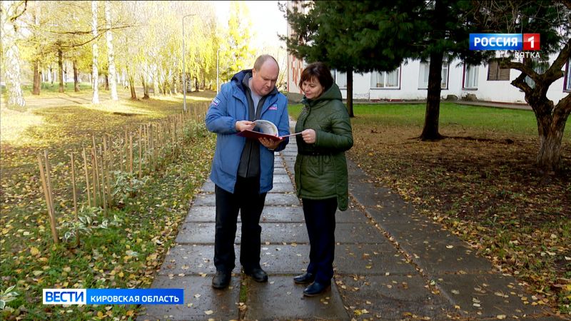 Кировчанам рассказали, за сбор каких лесных грибов грозит штраф