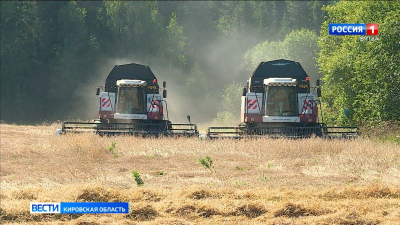 В Кировской области завершилась уборка зерновых и зернобобовых культур