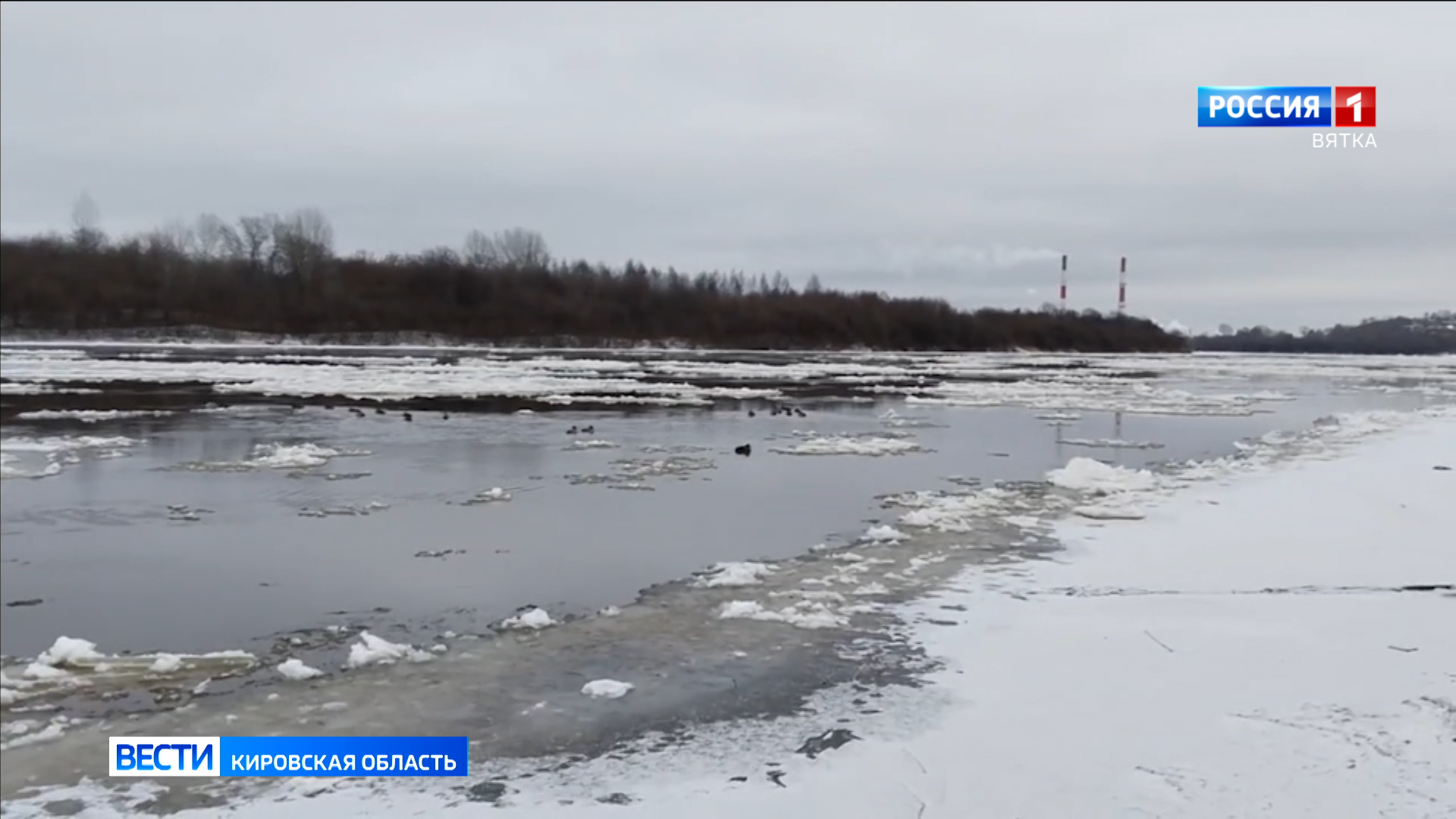 массовый заплыв льдин по реке весной. массовый заплыв льдин по реке весной. морж ярославль. льдина на 113 км самара. массовый заплыв льдин по реке весной.