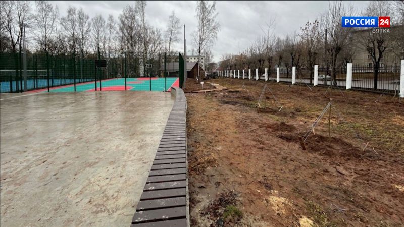 В парке имени Кирова создают аллею спорта