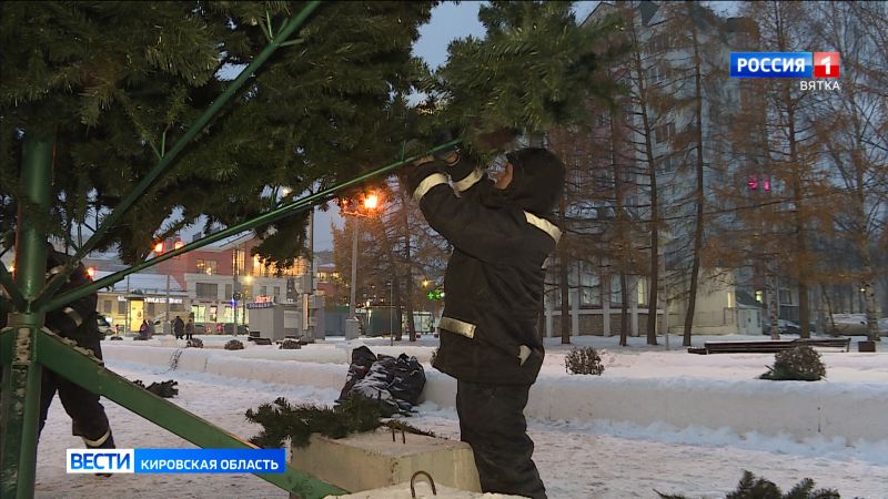 В Кирове начали устанавливать новогодние елки