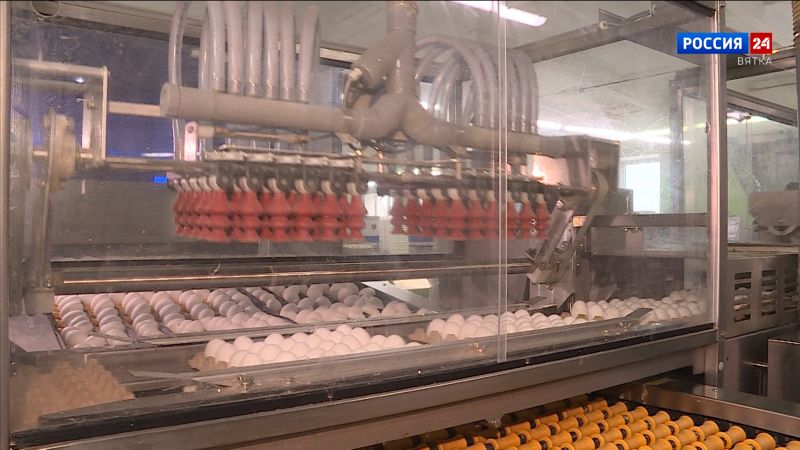 Кировское УФАС возбудило дела в отношении двух птицефабрик