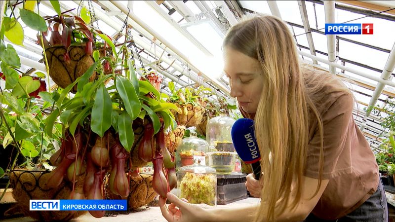 Кировчанам рассказали, где в разгар зимы в городе можно найти кусочки лета