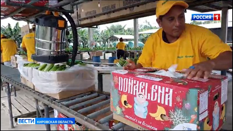 Бананы с логотипом 650-летия Кирова появятся в супермаркетах России и Белоруссии