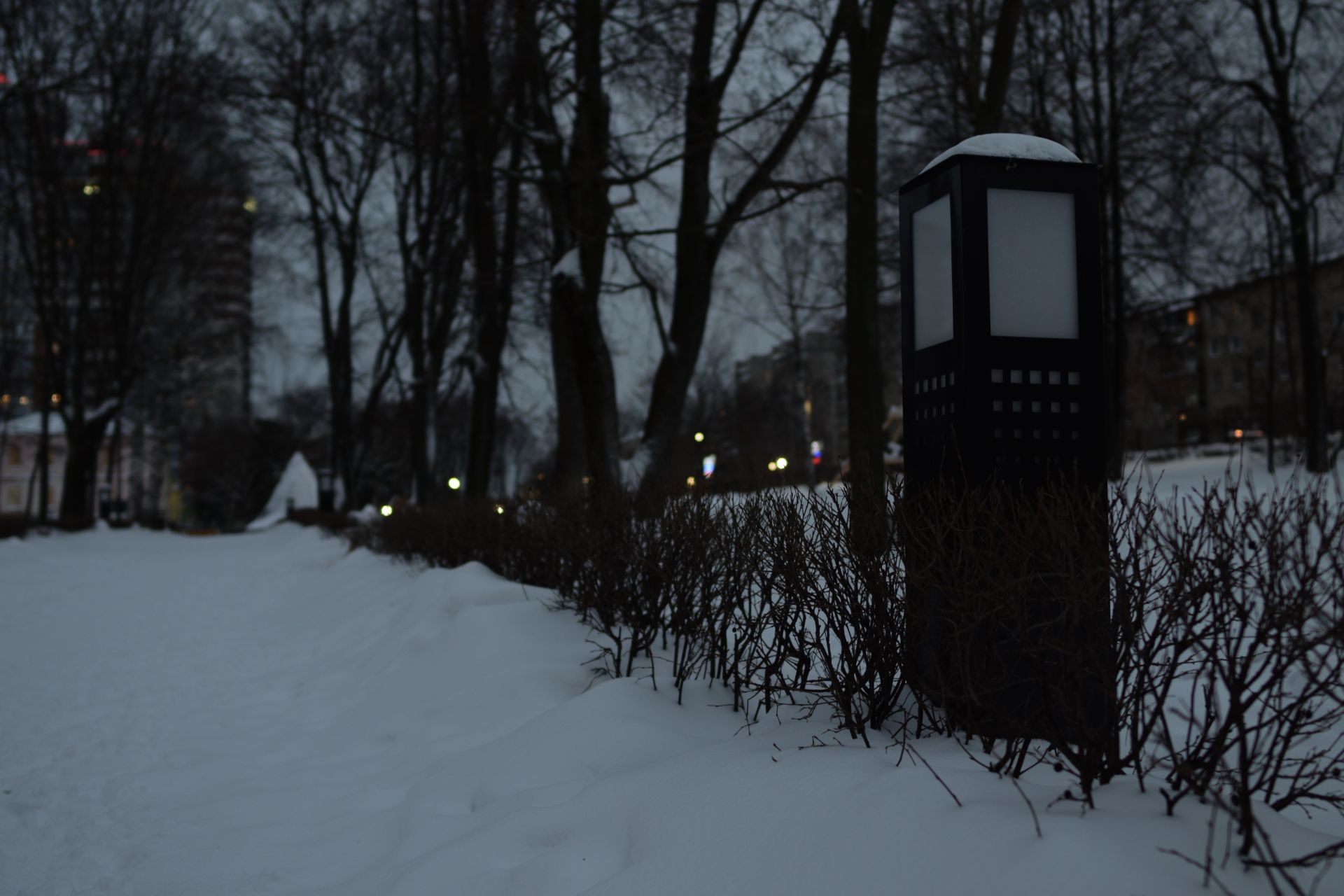 В четверг в Кировской области прогнозируют порывистый ветер и метель