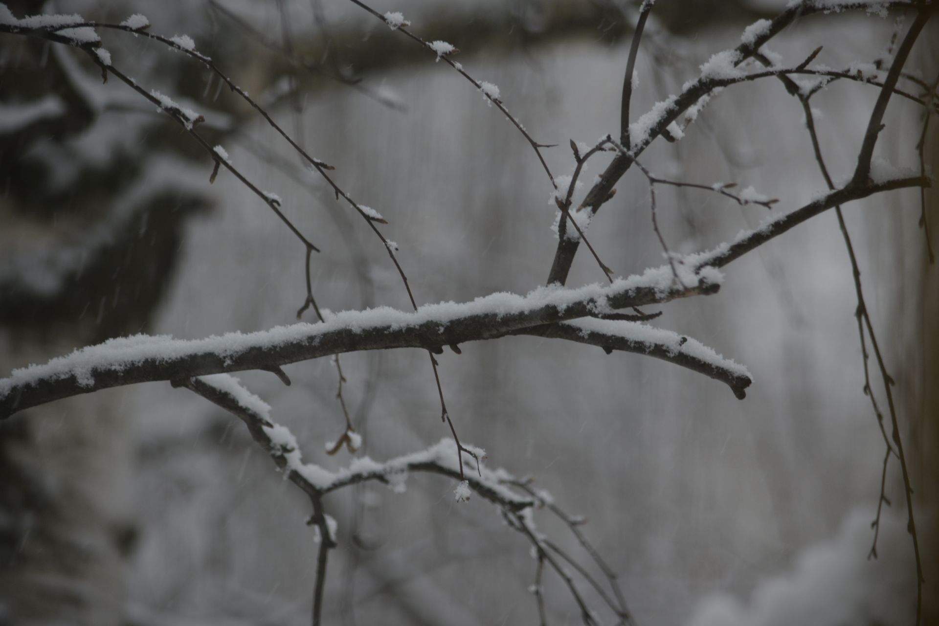 В Кировской области выпала треть месячной нормы осадков