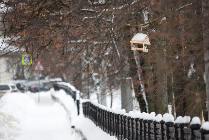 Во вторник в Кировской области обещают -15°C