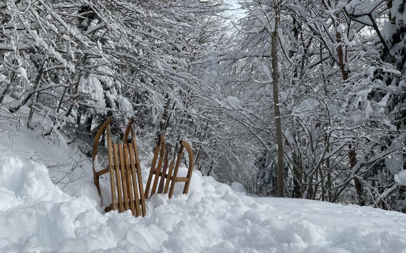 Почтовики рассказали, какие необычные посылки отправляли кировчане этой зимой
