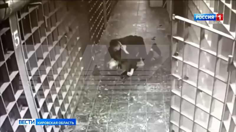 Александр Бастрыкин поручил представить доклад о нападении на полицейского в Кирове