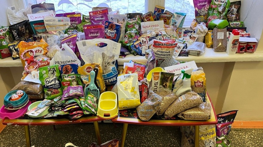 Кировчане приняли участие в благотворительной акции «Мисочка добра»