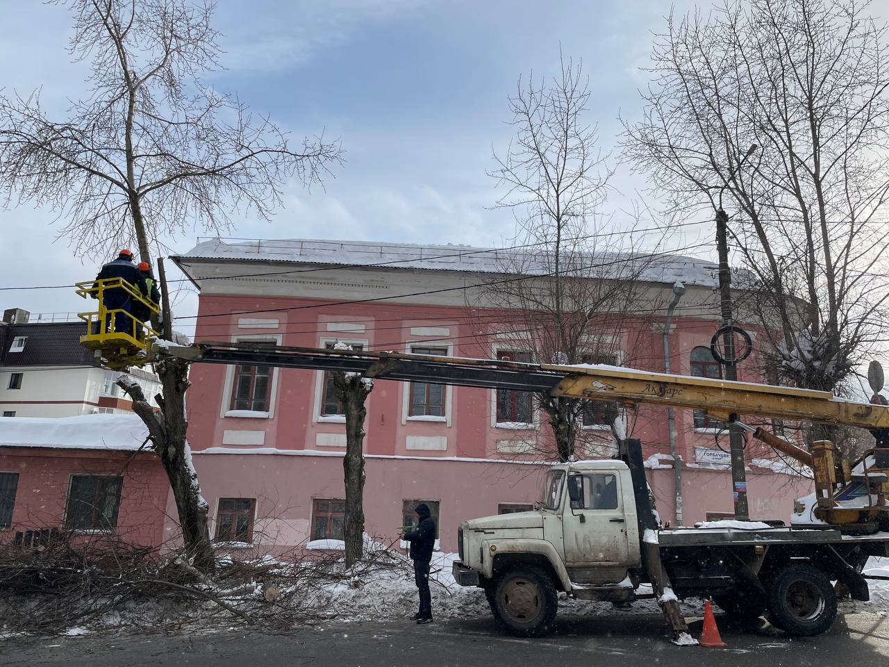 В Кирове продолжается омолаживающая обрезка деревьев