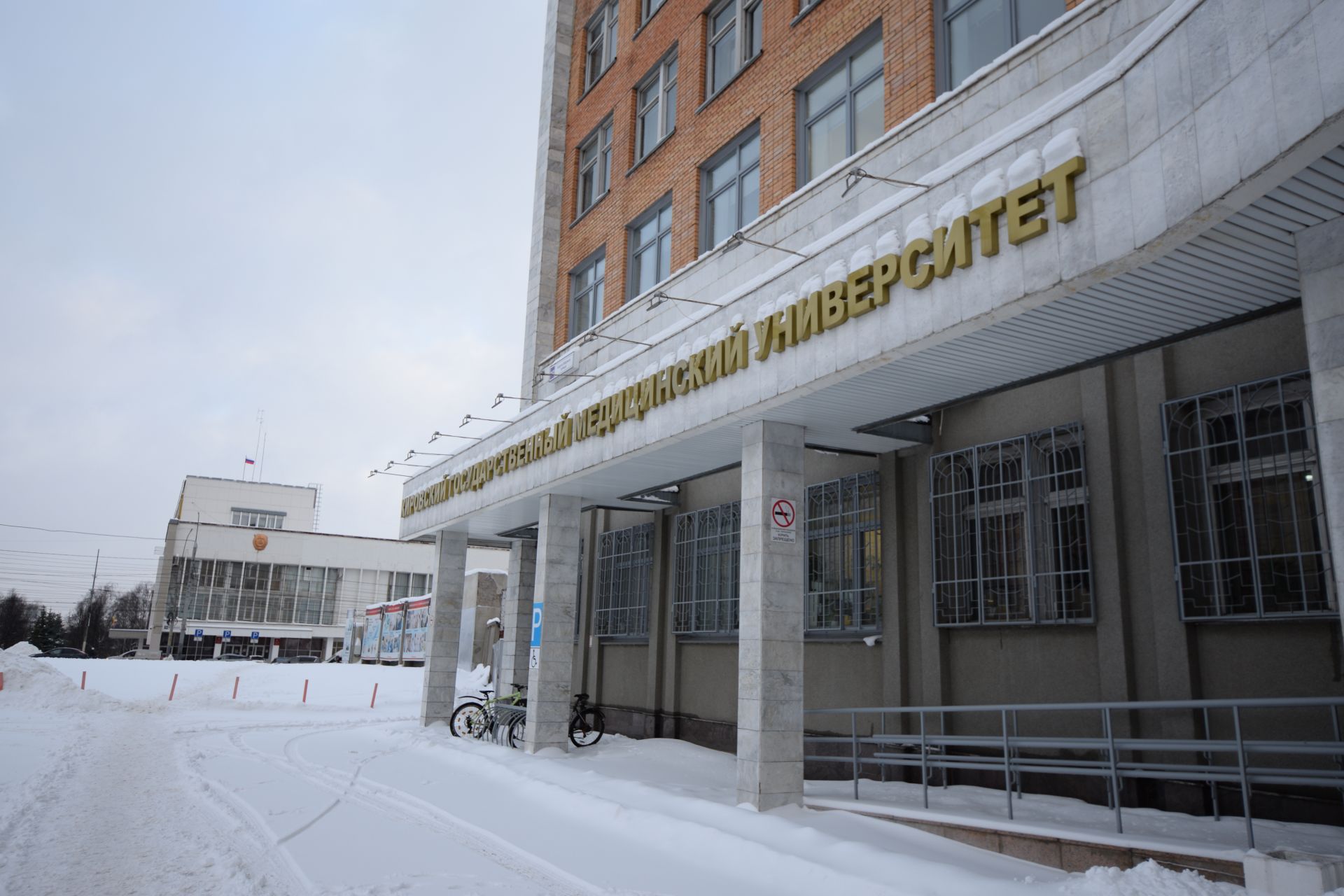 Кировские ученые создали медицинскую пленку из метаболитов лактобактерий