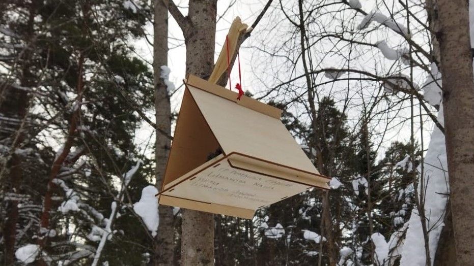 В Кирове организовали конкурс для юных орнитологов