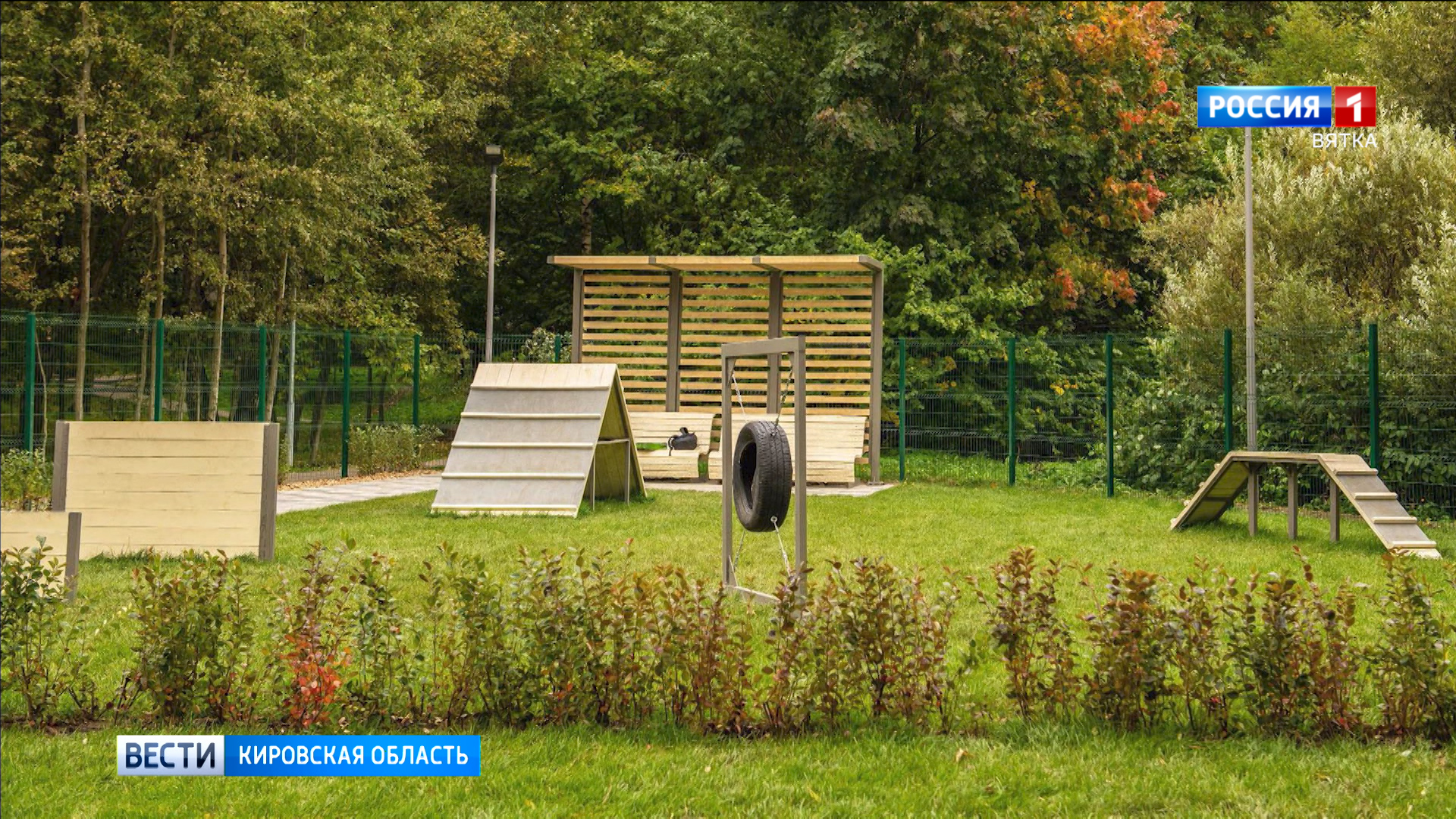 В Кирове планируют сделать еще 4 площадки для выгула собак