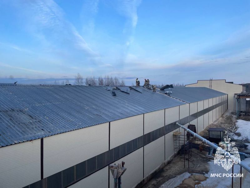 Лузское деревообрабатывающее предприятие продолжит свою работу после пожара