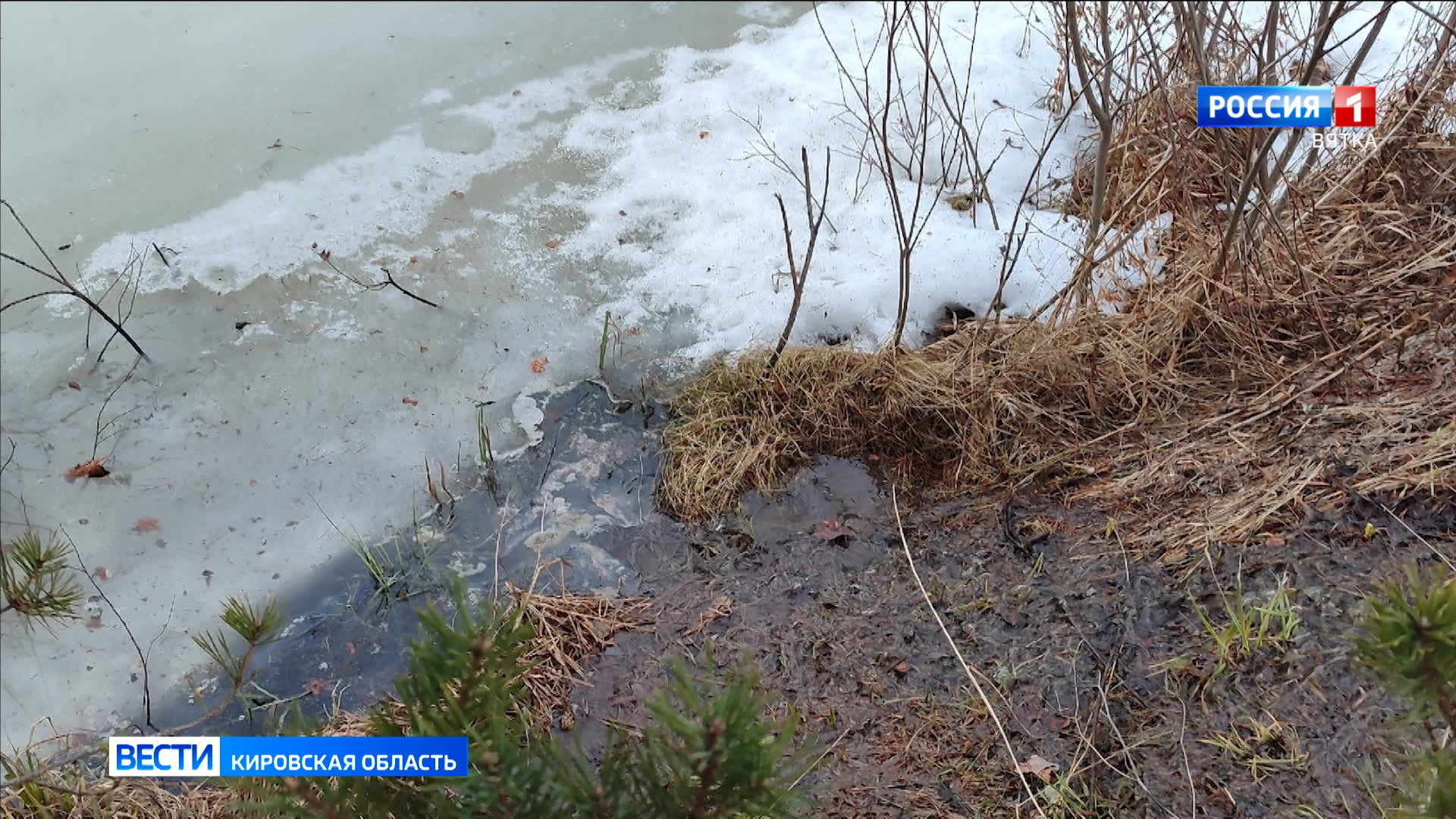 Следком Кировской области организовал проверку фактов загрязнения пруда в Юрьянском районе