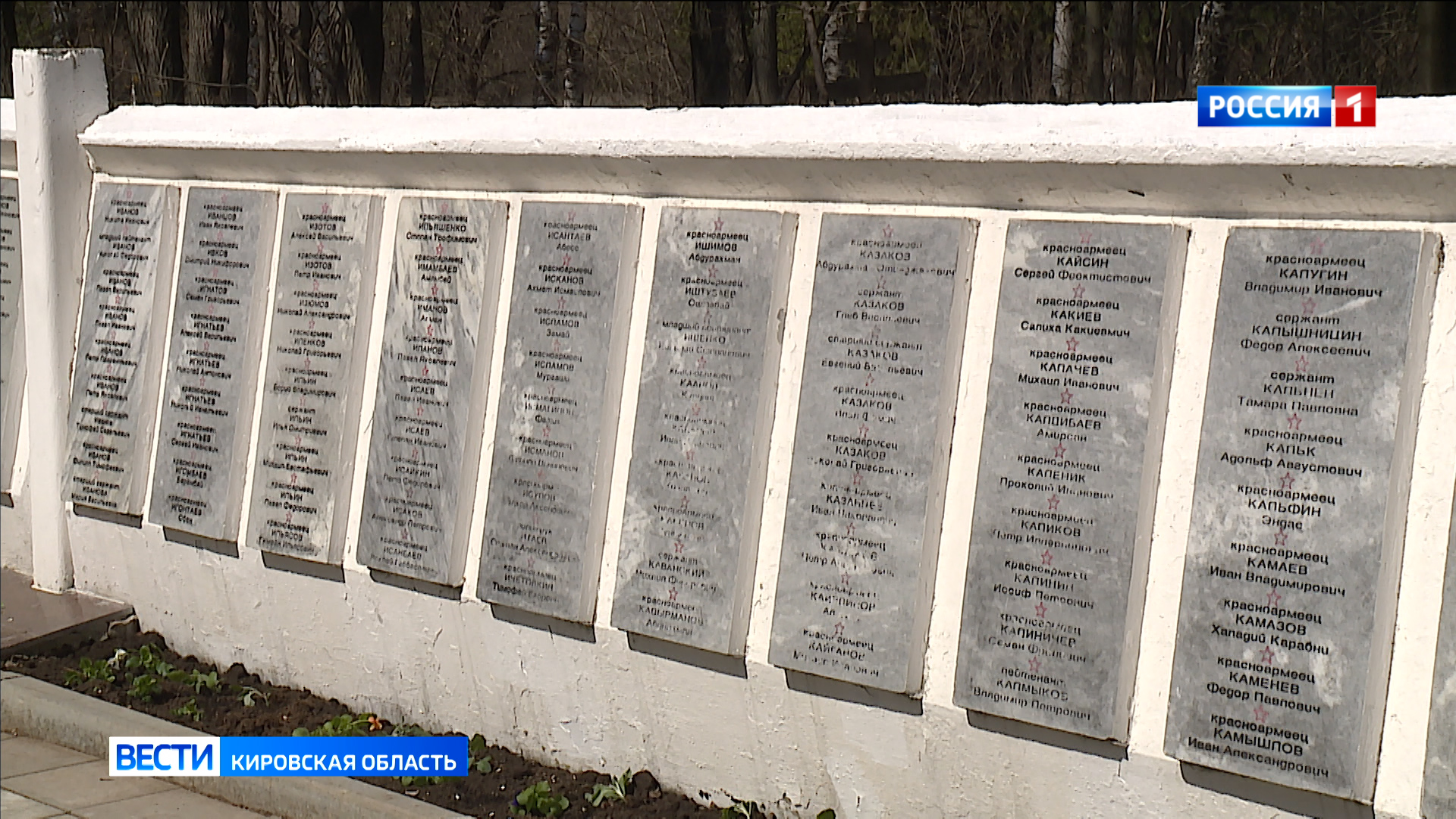 Волонтеры Победы дадут старт Всероссийскому субботнику