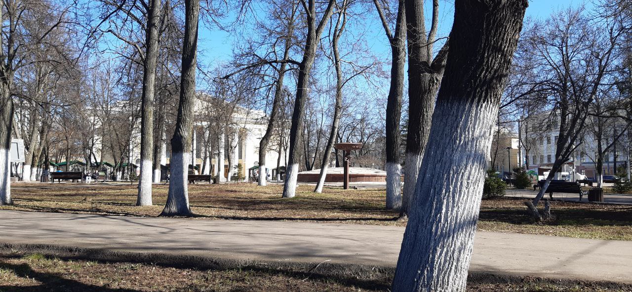 В Кировской области в воскресенье будет тепло и солнечно