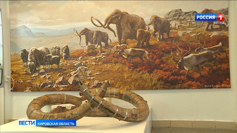 В Кирове на базе Вятского ГАТУ открылся геологический музей