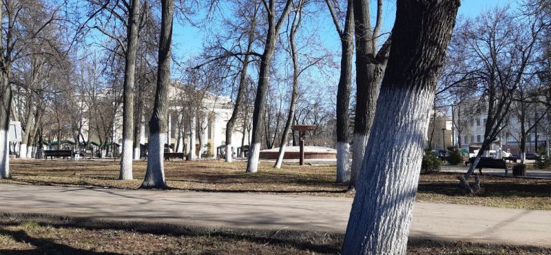 В Кировской области в воскресенье будет тепло и солнечно