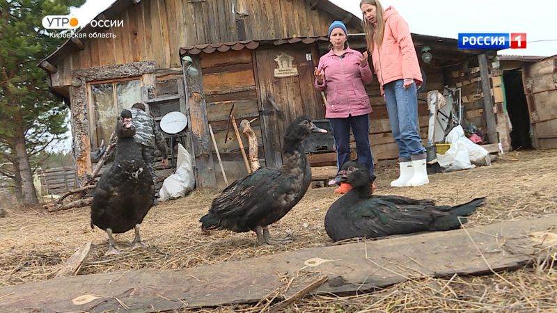 Хвост за хвост. Мускусная утка (25.04.2024)