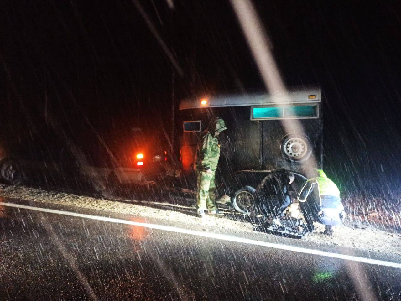 Сотрудники ГИБДД помогли лошади и ее владельцу добраться домой